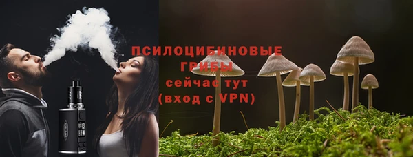 PSILOCYBIN Володарск