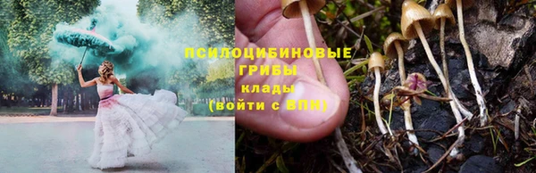 гидра Волосово